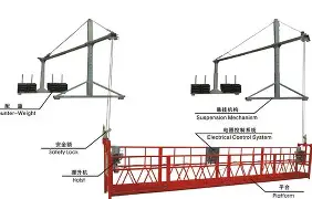 重磅：郑钦文主教练3选1(苹果手机如何给视频添加字幕)